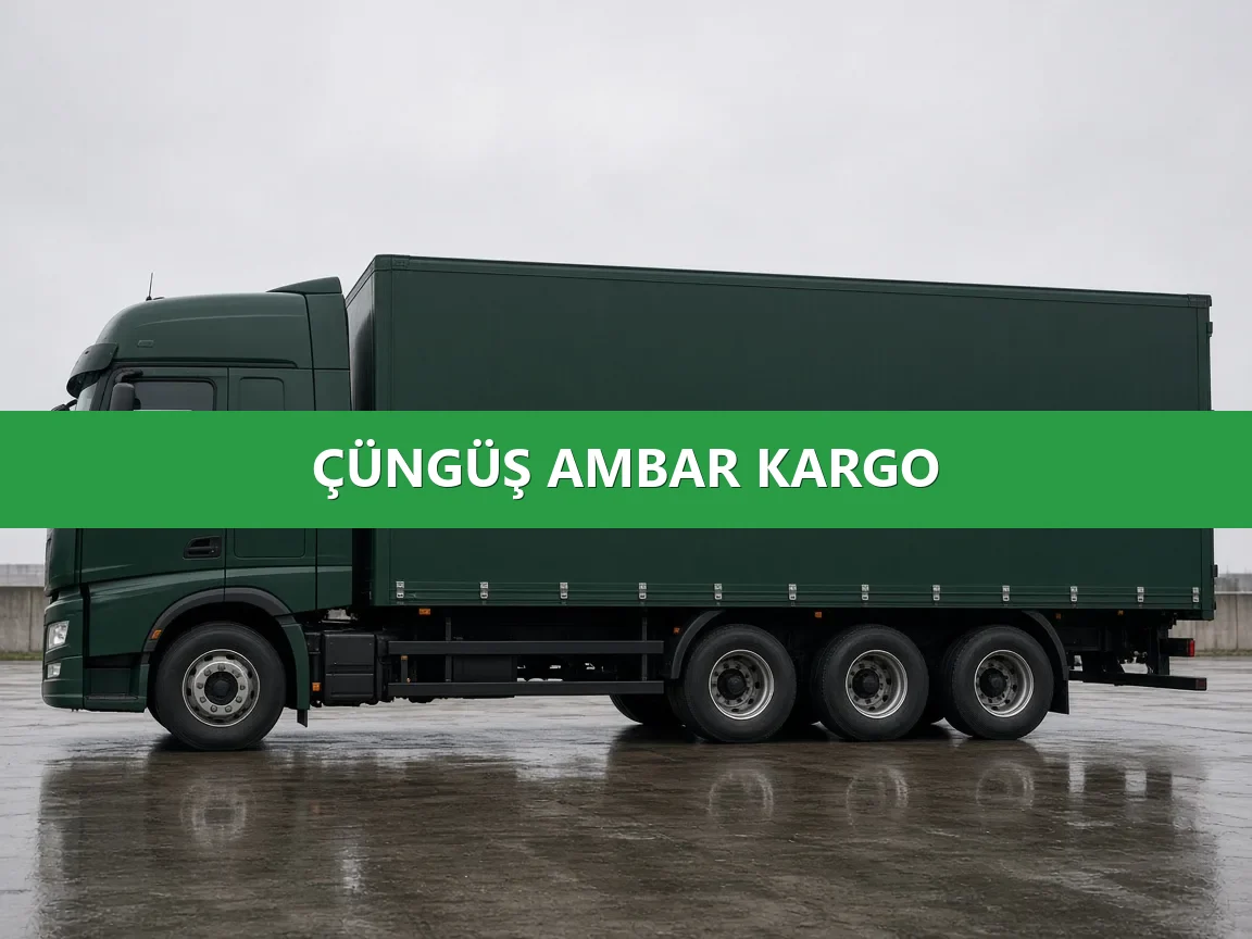 Çüngüş Ambar Kargo
