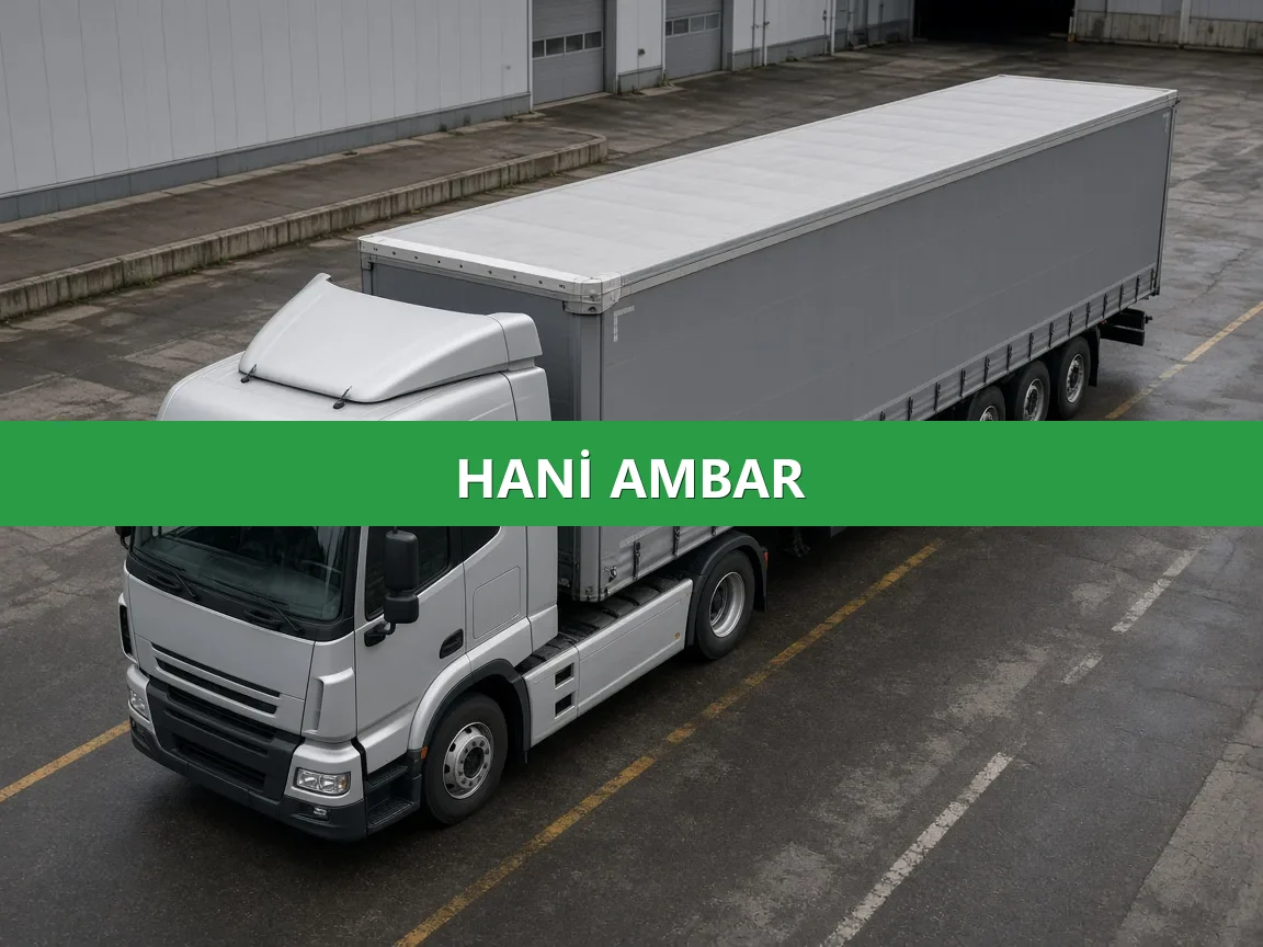Hani Ambar